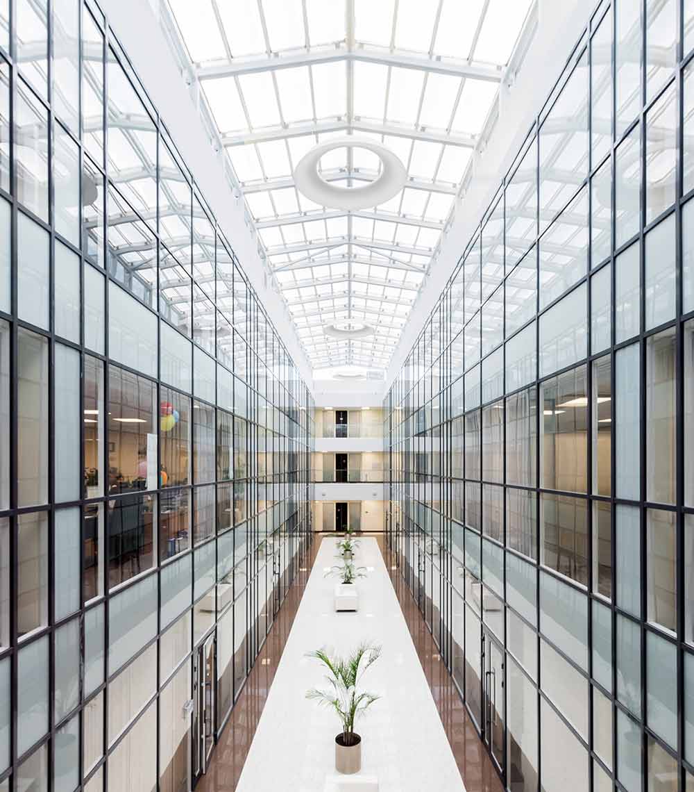 A long hallway with glass walls and a plant in the middle.